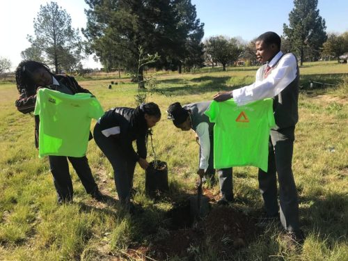 WhatsApp-Image-2025-06-20-at-15.27.23